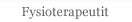 Fysioterapeutit